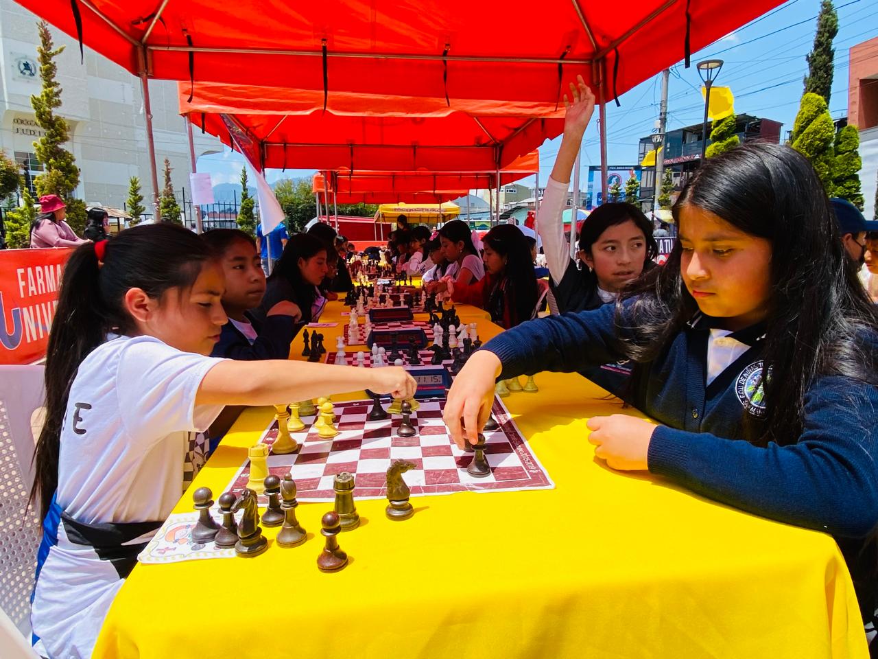 学生参加系际象棋节
